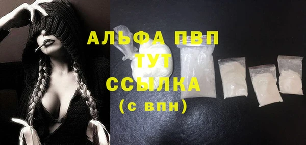 прущие грибы Богородицк