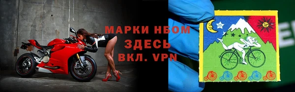 прущие грибы Богородицк