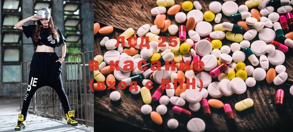 ECSTASY Белокуриха