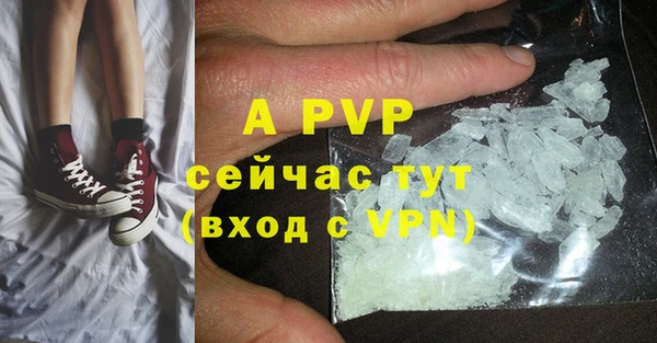 спиды Тайга