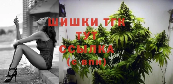сатива Белоозёрский