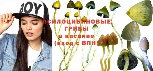 ПСИЛОЦИБИНОВЫЕ ГРИБЫ Богданович