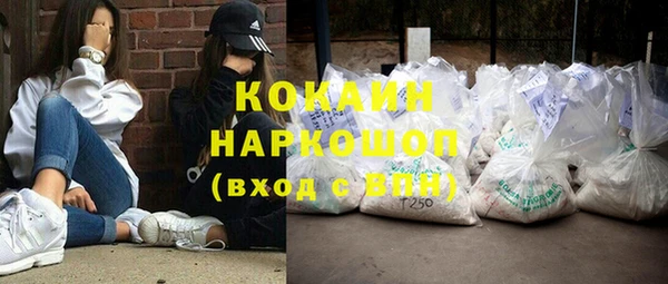 прущие грибы Богородицк