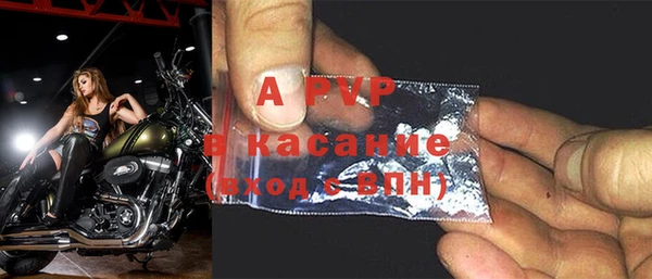 ПСИЛОЦИБИНОВЫЕ ГРИБЫ Богданович
